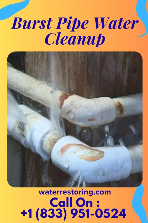 Burst Pipe Water Cleanup in West Easton, PA