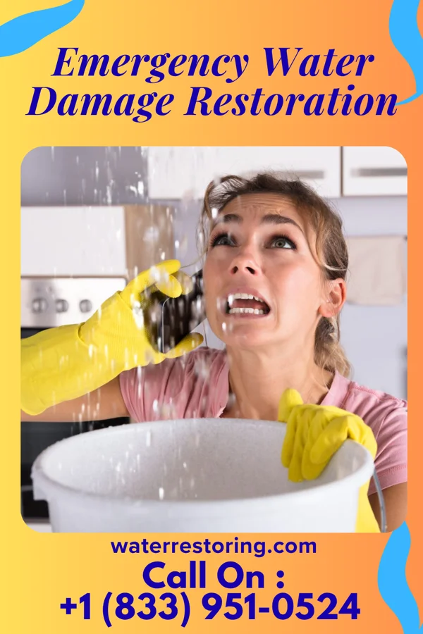 Emergency Water Damage Restoration in West Easton, PA