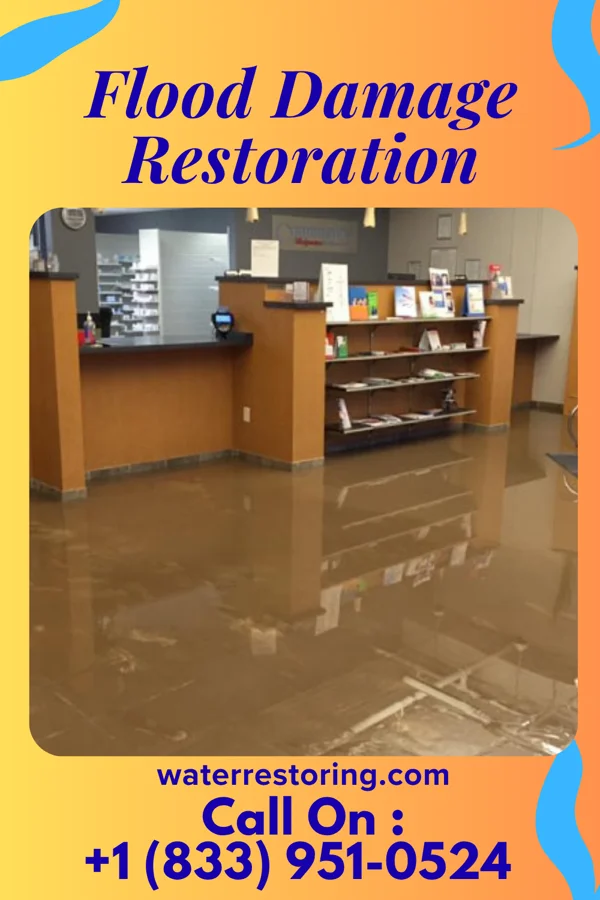 Flood Damage Restoration in West Easton, PA