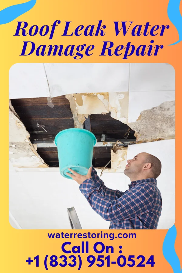 Roof Leak Water Damage Repair in West Easton, PA