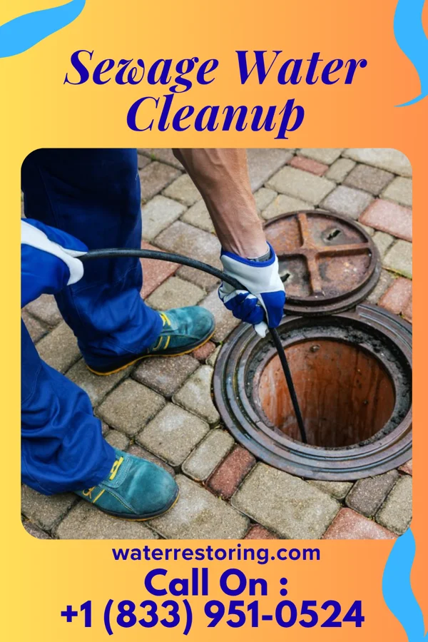 Sewage Water Cleanup in West Easton, PA